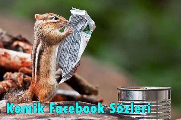 Komik Facebook Sözleri