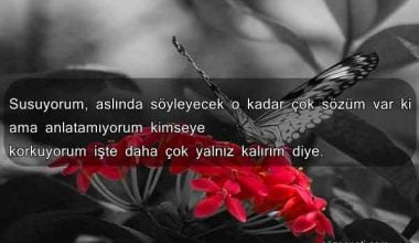 Resimli Duygusal Sözler Resimli Duygusal Sözler