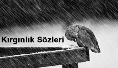KIRGINLIK SÖZLERİ