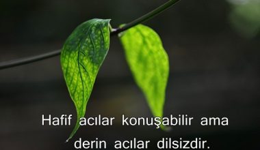 DÜŞÜNDÜREN SÖZLER