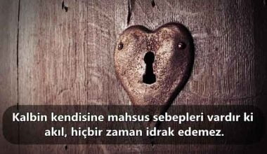 İnce Sözler