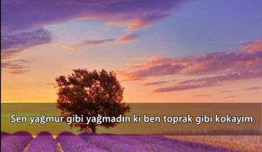 İNANILMAZ SÖZLER