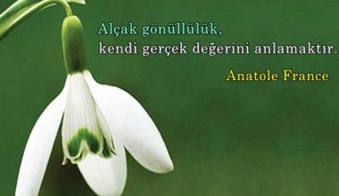 Alçak gönüllülük İle İlgili Sözler