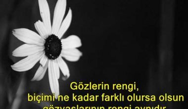 Eskimeyen Sözler