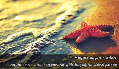 Hayat İle İlgili Sözler