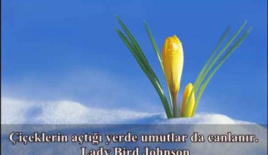 Çiçekli Sözler