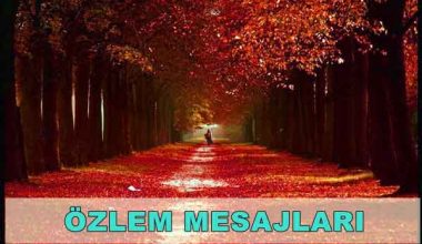 Özlem Mesajları