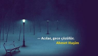 Ahmet Haşim Sözleri