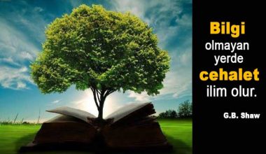Bilgi İle İlgili Sözler