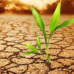 Kuraklık İle İlgili Sözler