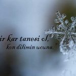 Kar Taneleri İle İlgili Sözler